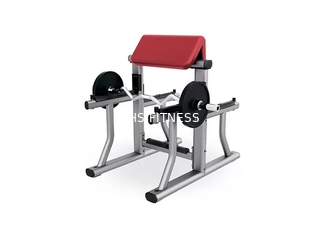 Equipo casero del rizo del brazo del bíceps de la aptitud del entrenamiento del pequeño del gimnasio de peso estante del banco