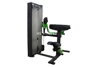 El ejercicio profesional del equipo/del gimnasio de entrenamiento de la fuerza de la matriz asentó la máquina del rizo del bíceps