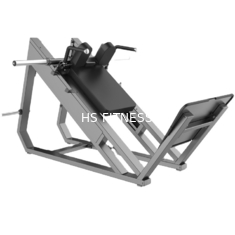 Precio bajo de alta calidad Sissy Squat Machine de la tienda de fábrica profesional de Smith Machine Gym Squat Rack