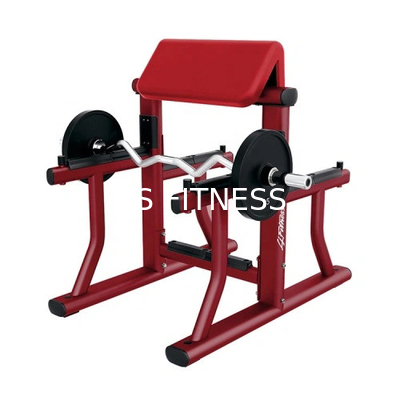 Banquillo de curva de brazo comercial Preacher Curl Banquillo de gimnasio