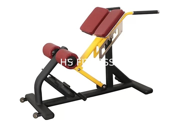 Equipo comercial Roman Ab Exercise Chair de la aptitud del estante del banco de peso del gimnasio