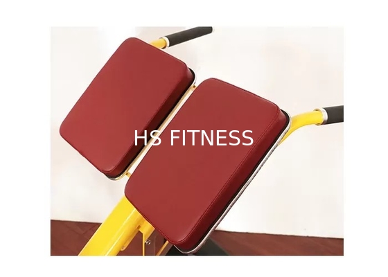 Equipo comercial Roman Ab Exercise Chair de la aptitud del estante del banco de peso del gimnasio