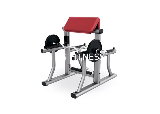 Equipo casero del rizo del brazo del bíceps de la aptitud del entrenamiento del pequeño del gimnasio de peso estante del banco