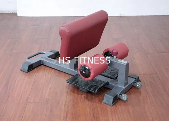 Culturismo ajustable de Sissy Squat Rack Machine For de la calidad comercial