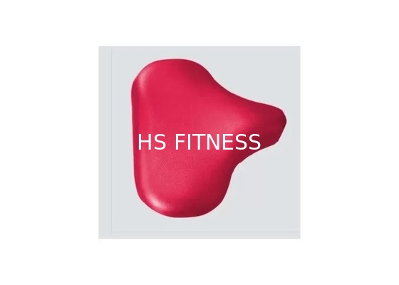 Equipo interior del gimnasio de la calidad comercial, máquina asentada aptitud del rizo del bíceps de la vida