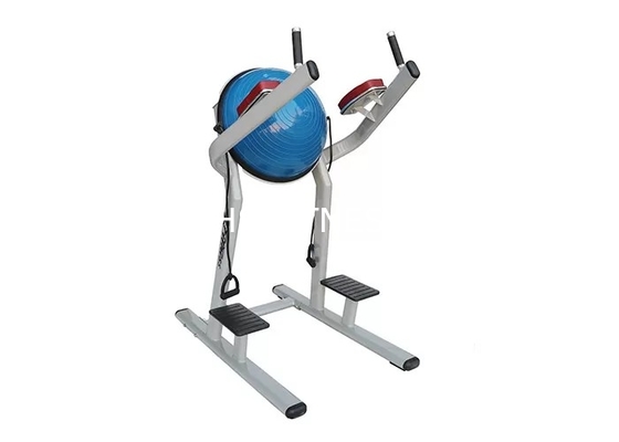 Máquina de la bola del equipo/de Chin Dip Leg Raise With Bosu del entrenamiento de la aptitud del curso de la vida