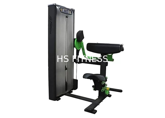 El ejercicio profesional del equipo/del gimnasio de entrenamiento de la fuerza de la matriz asentó la máquina del rizo del bíceps
