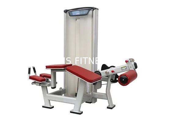 Máquina propensa del ejercicio del rizo de pierna del equipo del entrenamiento de la matriz del gimnasio del OEM