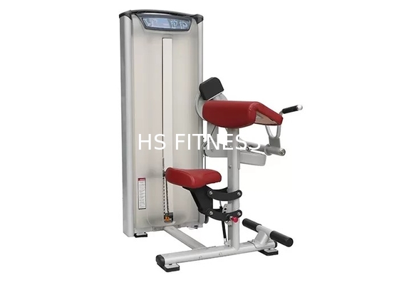 Máquina del rizo del bíceps del equipo de entrenamiento de la fuerza de la matriz del gimnasio