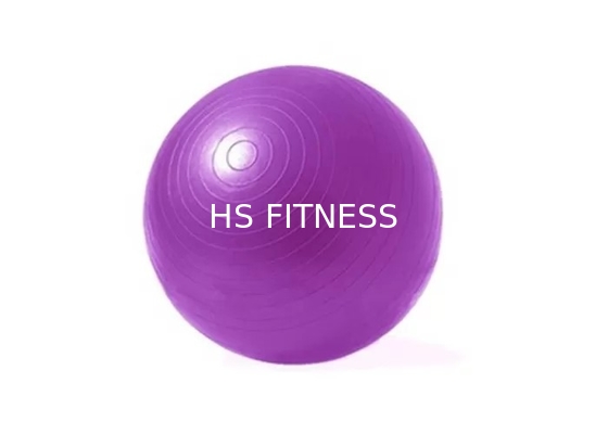 Bola del ejercicio de la yoga de los accesorios del entrenamiento de la aptitud del gimnasio del ODM