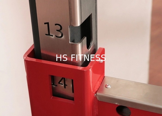 Estante agazapado del gimnasio Q235 del poder comercial multi del equipo con Logo Customized